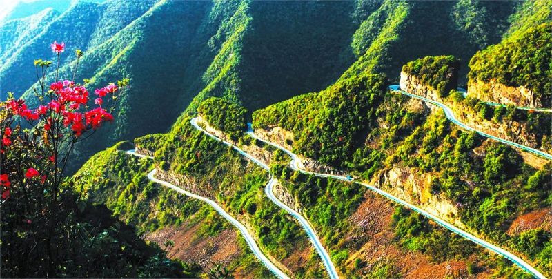 关于2022全国茶旅精品线路候选线路欣赏(安徽篇)的资讯(1)
