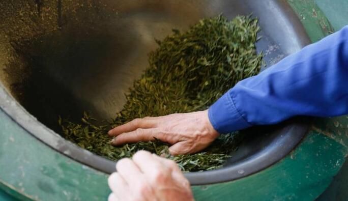 有关于日照市东港区：碧海茶乡念新经的新闻(2)