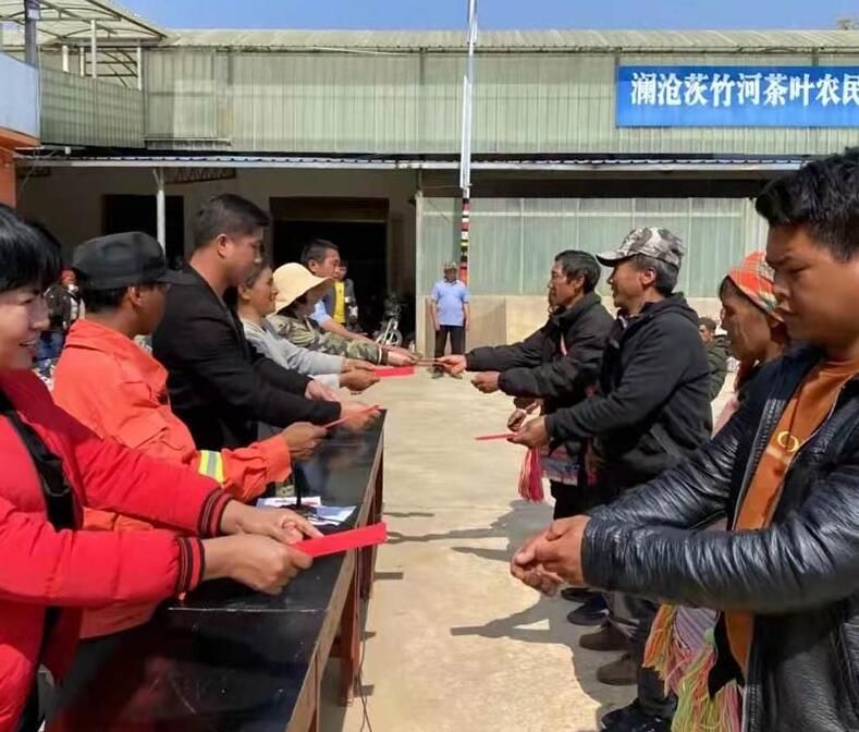 有关于普洱澜沧:党建引领 茶产业促农增收的消息(1)