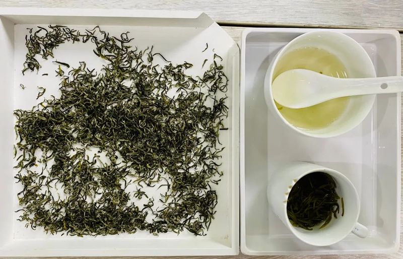 有关于长阳＂城五河竹沥茶＂发掘整理与品质评价研讨会在中国茶科所召开的资讯(2)
