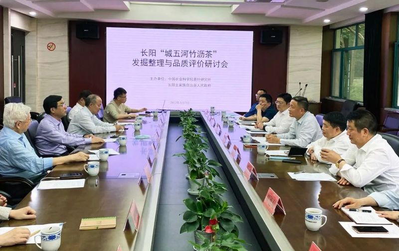 有关于长阳＂城五河竹沥茶＂发掘整理与品质评价研讨会在中国茶科所召开的资讯