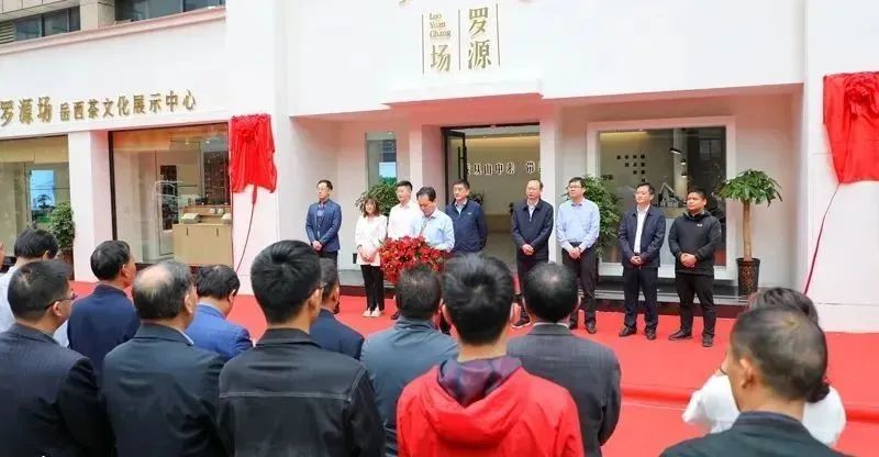 有关于岳西:加强茶产业产学研合作 促进茶产业高质量发展的新闻(4)