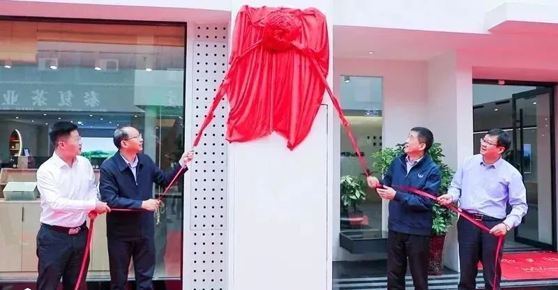 有关于岳西:加强茶产业产学研合作 促进茶产业高质量发展的新闻(3)