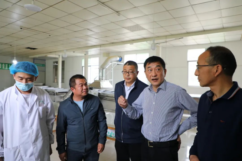 有关于岳西:加强茶产业产学研合作 促进茶产业高质量发展的新闻(1)