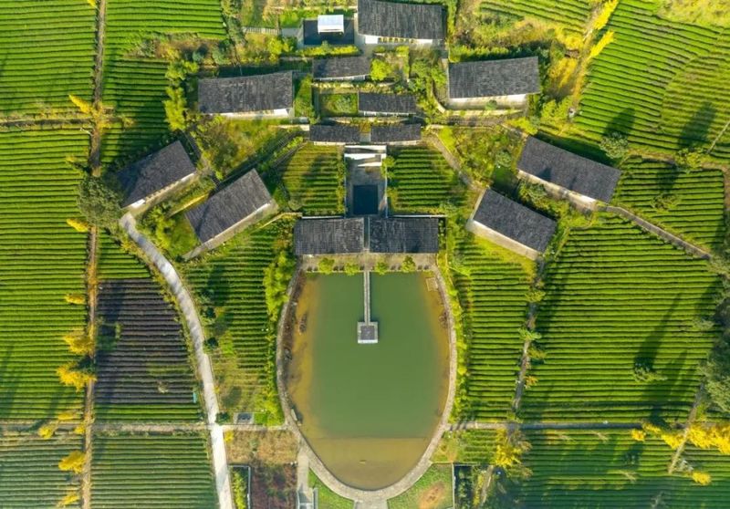 关于2022全国茶旅精品线路候选线路欣赏：定心茶园茶文化休闲游的资讯