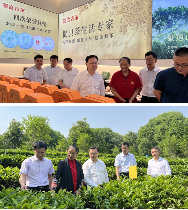 有关于刘仲华院士一行赴云南普洱调研的信息(2)
