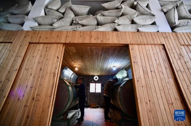 关于福建武夷山:高山茶农生态致富的最新消息(3)