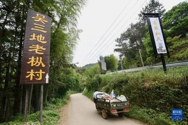 关于福建武夷山:高山茶农生态致富的最新消息(1)