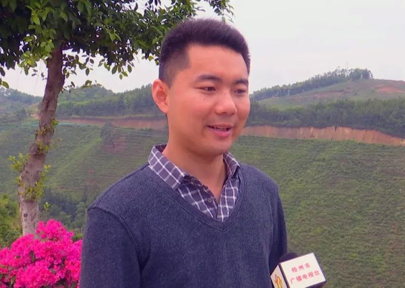 关于长洲区:乡村科技特派员助力茶产业发展的消息(6)