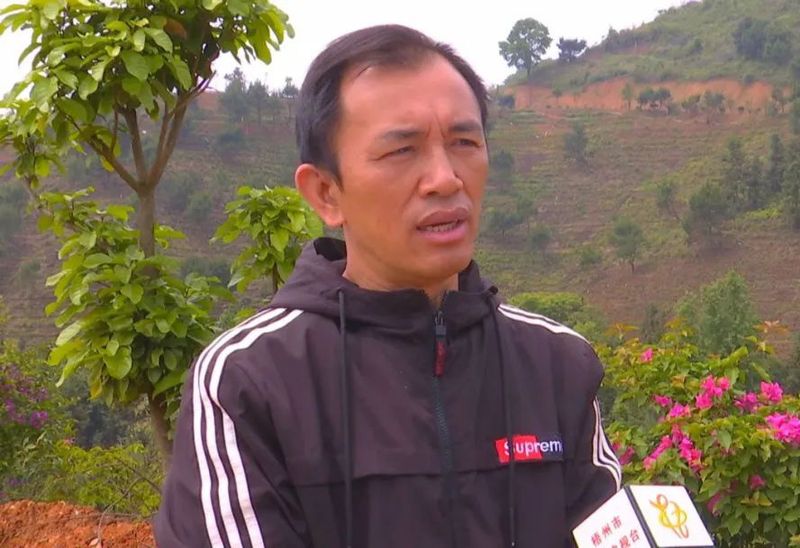 关于长洲区:乡村科技特派员助力茶产业发展的消息(4)