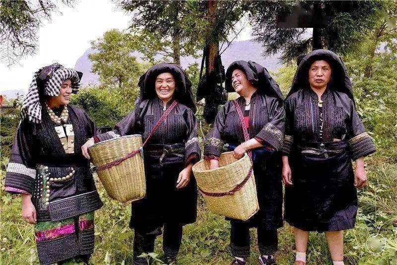 有关于彝族支系俐侎人“祭茶祖”的最新消息(3)