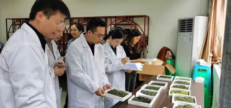 关于2022年贵州省春季斗茶赛正式启动！的资讯