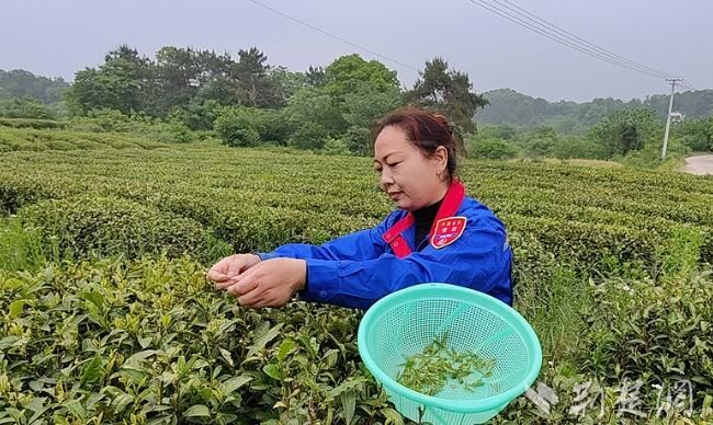 有关于加油站里的一杯茶，换来4成市场份额的信息