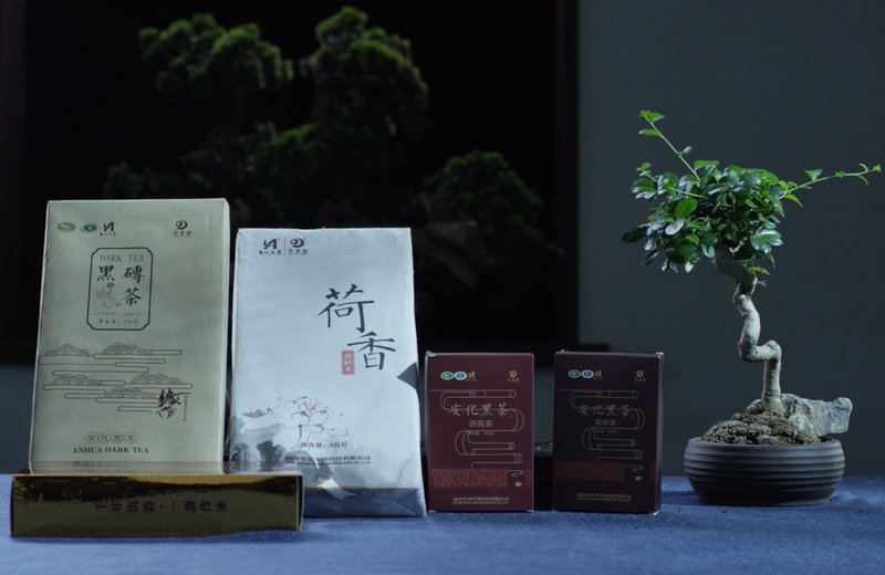 关于中国读书报：安化，让世界爱上黑茶的地方的相关信息(7)