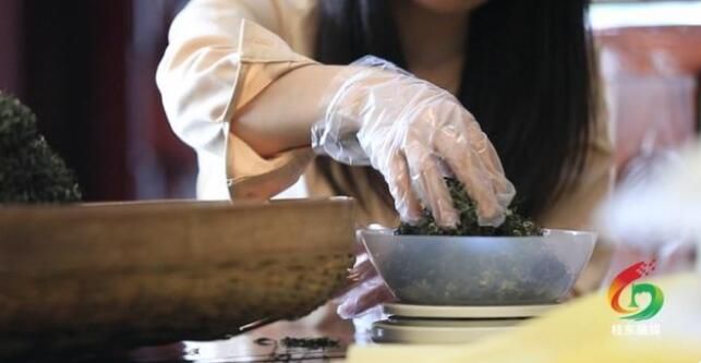 关于郴州桂东:一叶春茶绿 一业乡村兴的内容(10)