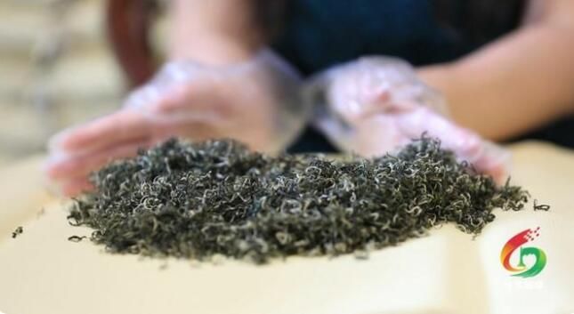 关于郴州桂东:一叶春茶绿 一业乡村兴的内容(9)