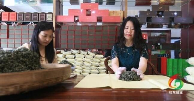 关于郴州桂东:一叶春茶绿 一业乡村兴的内容(8)