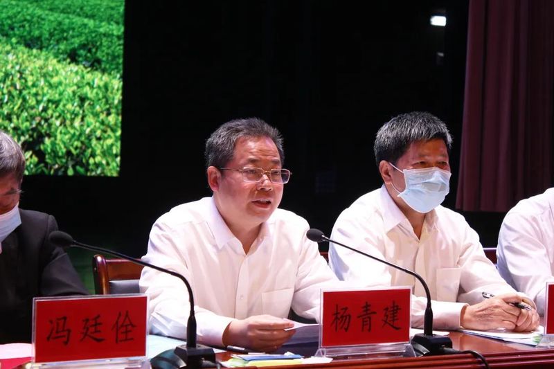 有关于武夷山又迎“春天”,这场茶业雅集盛会释放出哪些信号?的内容(10)