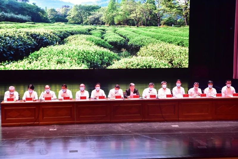 有关于武夷山又迎“春天”,这场茶业雅集盛会释放出哪些信号?的内容(2)