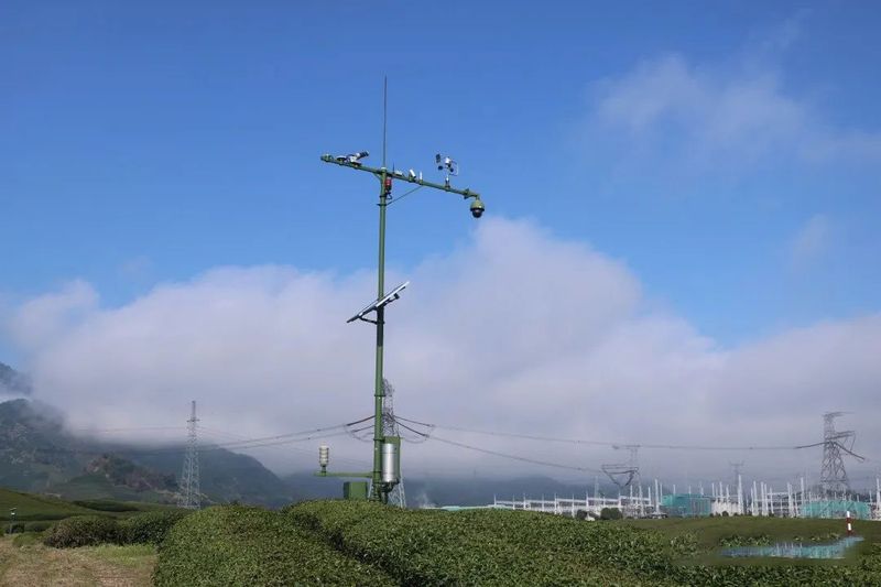 关于有机茶加点“气象料”，味道如何？——武义数字气象服务护航茶产业发展的内容