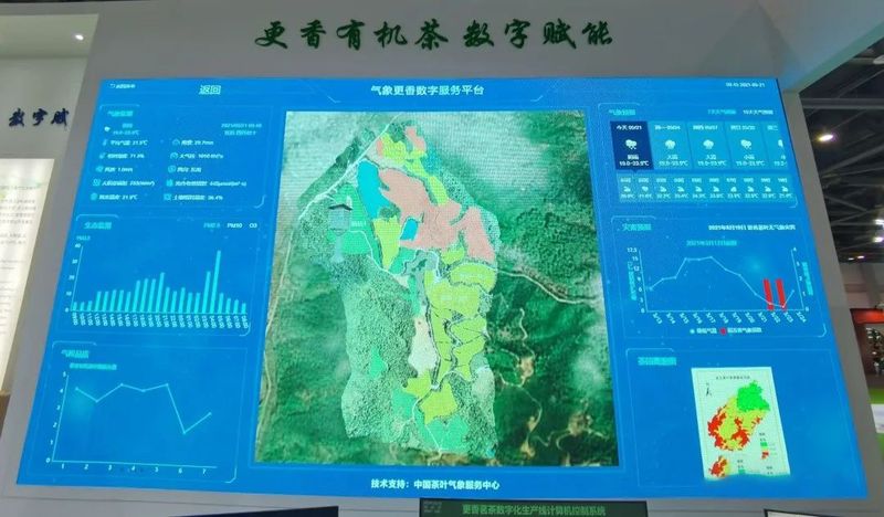 关于有机茶加点“气象料”，味道如何？——武义数字气象服务护航茶产业发展的内容(1)