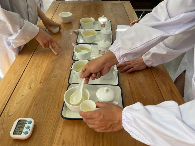关于2022年“贵州绿茶”产品质量推选评价审评会在贵阳举行的新闻(5)
