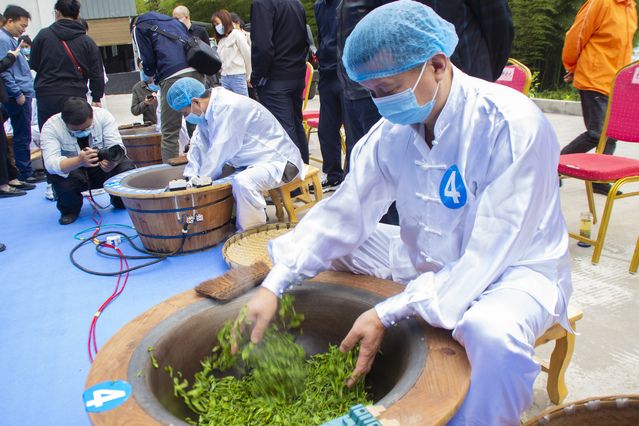 关于天全县：制茶技艺大比拼 擦亮高山茶金色名片的内容