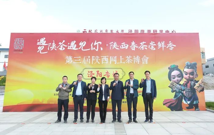 有关于第三届陕西网上茶博会泾阳专场活动启动 以网为媒宣传推介泾阳茯茶的新闻