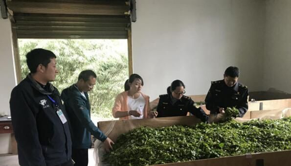 有关于双柏县：“九查一检”严把春茶生产质量安全关的相关内容