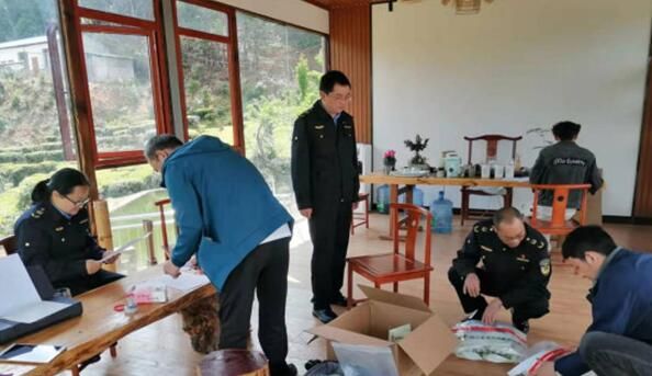 有关于双柏县：“九查一检”严把春茶生产质量安全关的相关内容(1)