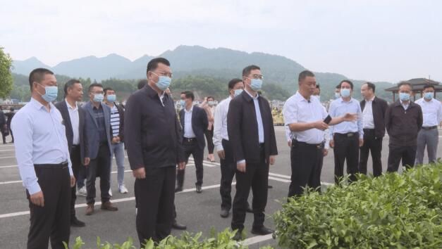关于副省长宁咏到英山调研茶产业高质量发展的相关信息