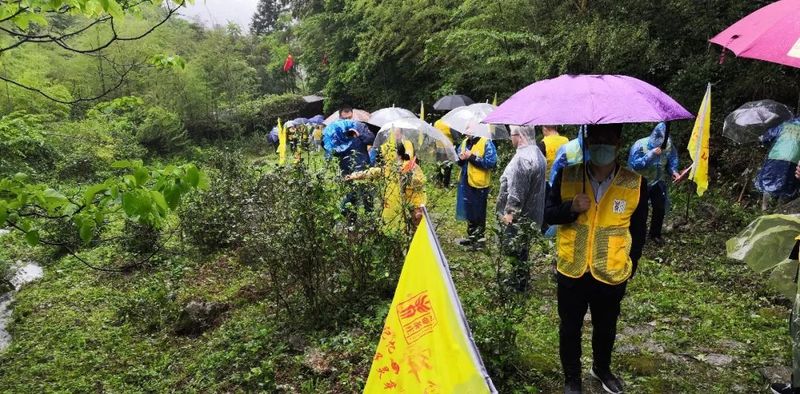 有关于2022中华茶祖节·“潇湘·邵阳红”湖南省生态旅游节暨第三届舜皇山野茶节在新宁县举行的新闻(1)