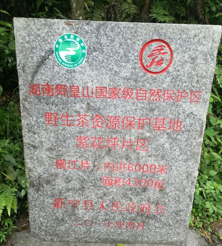 有关于2022中华茶祖节·“潇湘·邵阳红”湖南省生态旅游节暨第三届舜皇山野茶节在新宁县举行的新闻(2)