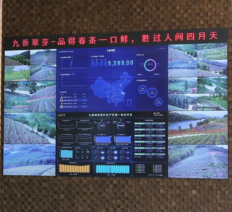 关于宜兴:智慧茶园装上“最强大脑”的新闻(1)