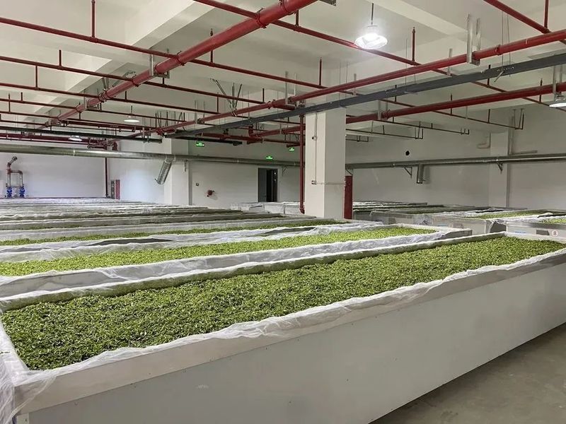 关于宜兴:智慧茶园装上“最强大脑”的新闻