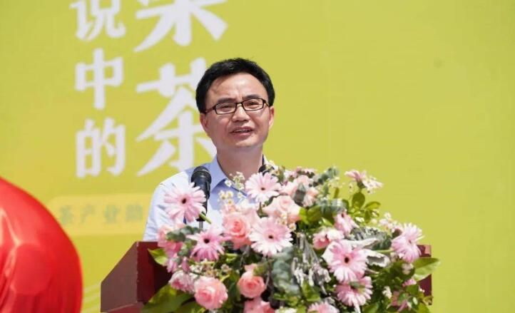 关于浮梁买茶节暨茶产业助力乡村振兴成果发布会举行的最新消息(5)