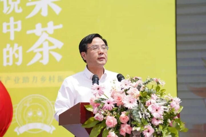 关于浮梁买茶节暨茶产业助力乡村振兴成果发布会举行的最新消息(4)