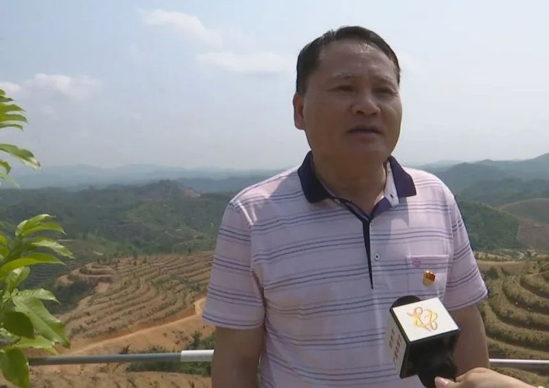 有关于龙圩区：打造万亩云山茶海 助力茶园绿色崛起的最新消息(4)