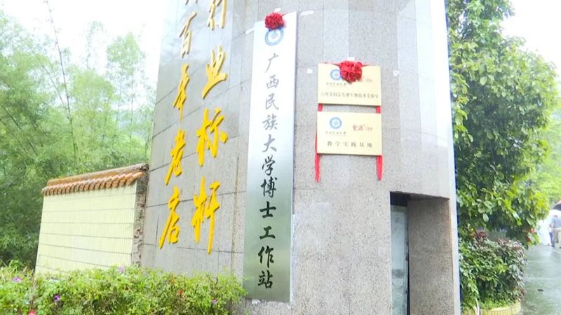 有关于梧州六堡茶固态基地揭牌的最新消息