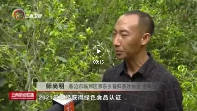 有关于践行绿色生态理念  临沧茶产业转型升级见成效的资讯(2)