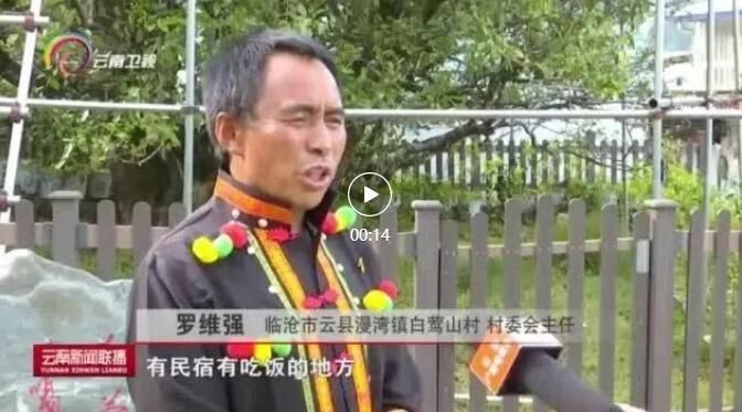 有关于践行绿色生态理念  临沧茶产业转型升级见成效的资讯(4)