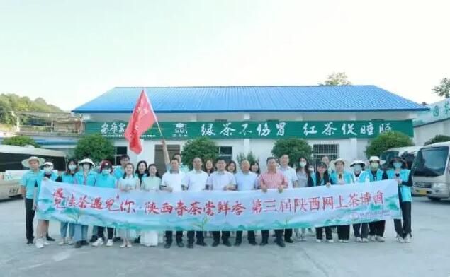 有关于岚皋县佐龙镇：推动茶产业转型升级发展，让岚皋茶叶走出陕西的资讯(2)