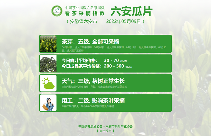 有关于春茶采摘指数：5月9日 武夷岩茶 肉桂、水仙结束采摘，大红袍进入小开面的资讯(2)
