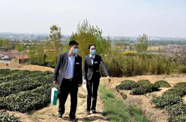 关于农行岚山支行团委：惠农政策进茶园的最新消息