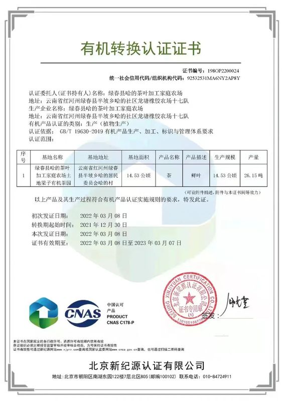 关于绿春县哈的土地梁子有机茶园:全力打造大树茶“绿色食品牌”,助推村集体经济发展的新闻(7)