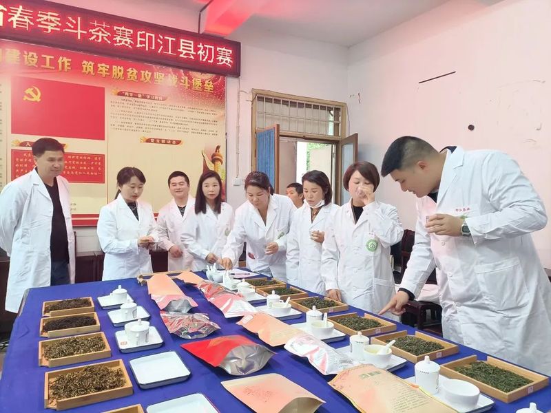 关于印江县开展2022年贵州省春季斗茶赛初赛活动的信息(4)