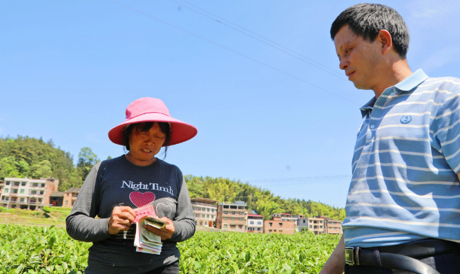 关于刘光昭:茶叶铺出乡村振兴路的消息