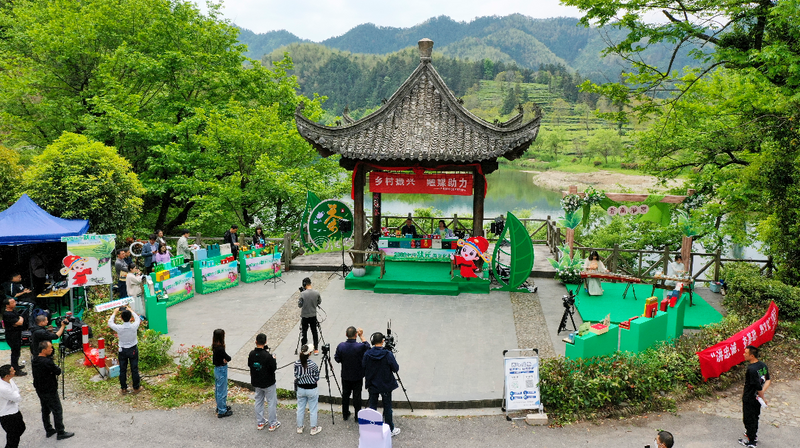 关于休宁:融媒汇茗洲 茶人语松萝的内容(3)