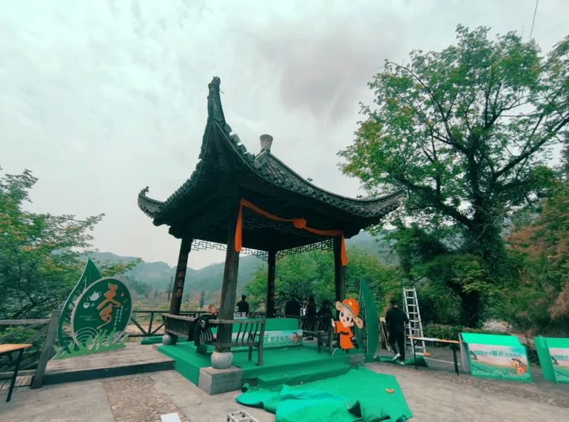 关于休宁:融媒汇茗洲 茶人语松萝的内容(4)