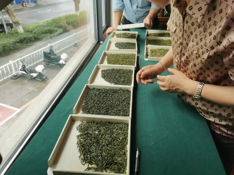 关于诸暨西施石笕茶,凭实力夺魁!的相关内容